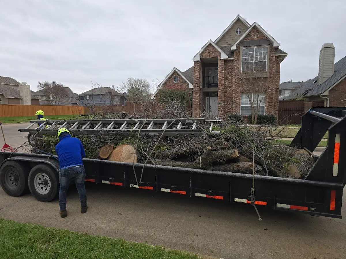Expert Crown Reduction with proper safety equipment in Oswego